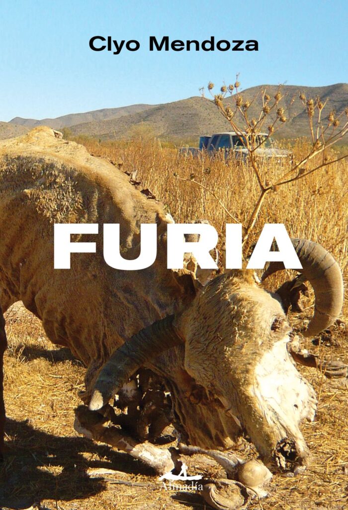 Portada de Furia